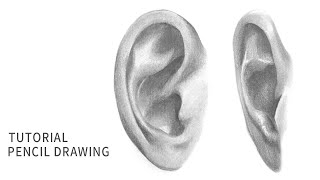 귀 그리기 앞으로 걱정하지 마세요! [사실적인 귀 그리는 방법, Drawing Tips]