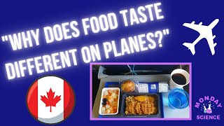Why Does Food Taste Different On Planes?
