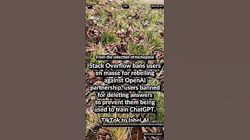 Stack Overflow bans users for rebelling. TikTok to label AI content. Alibaba Qwen 90K Enterprise