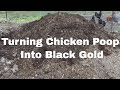 Composting backyard poultry manure