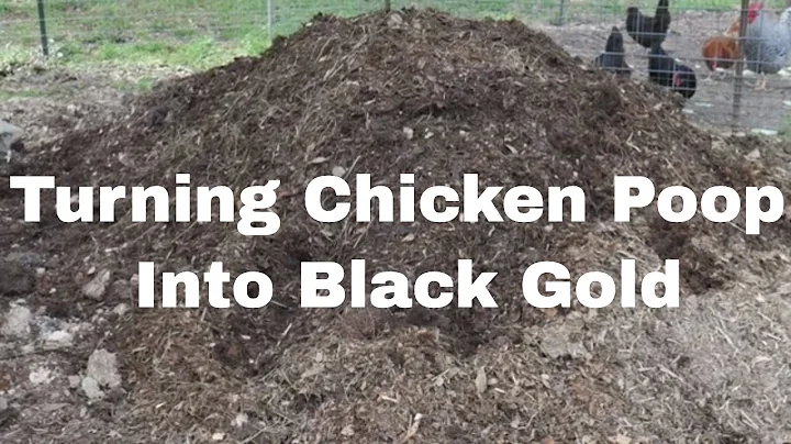 Composting Backyard Poultry Manure