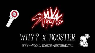 Stray Kids - WHY? x BOOSTER