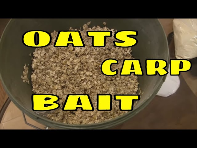 Best Pack Bait for Carp ! Oatmeal / Oats Pack Bait How To 