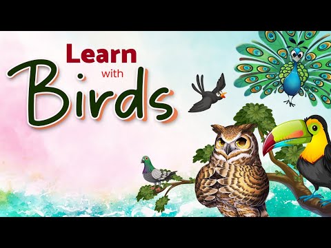 Learn English - Hindi words for birds | पक्षियों के नाम | Nursery rhymes | @bananakids1376