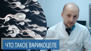 ЧТО ТАКОЕ ВАРИКОЦЕЛЕ? | Как варикоцеле может влиять на мужское бесплодие? | Часть 1