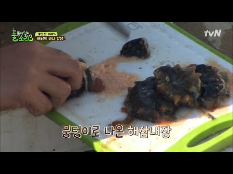 happyfarmers_expedition 해삼 내장을 아시나요? 귀하디귀한 고노와다! 190401 EP.1