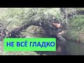 Неудачная поездка в деревню к пчелам. Проблемы и расстройства.