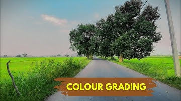 Color Grading like - EDITING EDITION in Capcut 