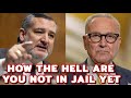 Senator Ted Cruz Grabs that MIC And DESTROYS Schumer And The Entire Democrat Party In 5mins 