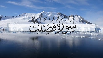 { سورة فصلت } | ماجد العنزي .