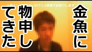 徹底討論！金魚はなぜ殺してはいけないのか？中編