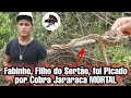 Cobra MORTAL Picou @Fabinho Filho do Sertão | Biólogo Henrique o Biólogo das Cobras