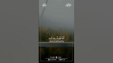 ماتيسر من سورة الشورى | القارئ : عاصم اللحيدان