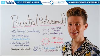How does Perjeta (Pertuzumab) Breast Cancer Treatment Work?