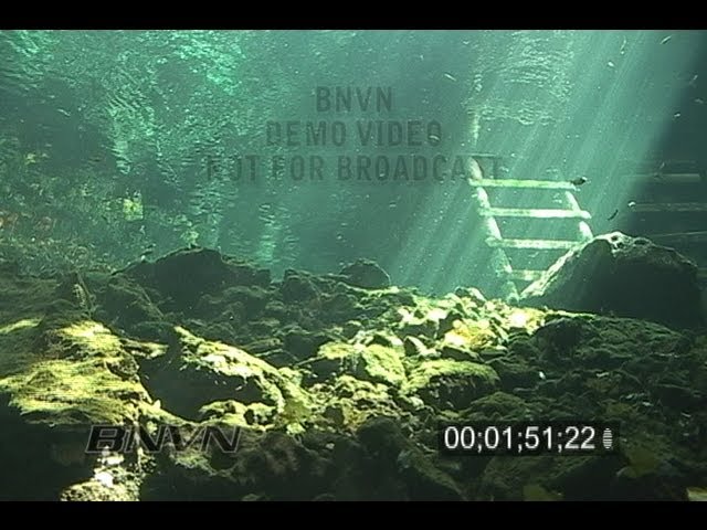 1/26/2007 Tulum, Mexico Gran Cenote Video