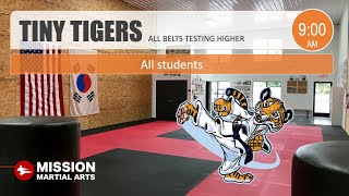 Rank Test | TINY TIGERS (all)