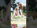 القران الكريم دعاء رائع