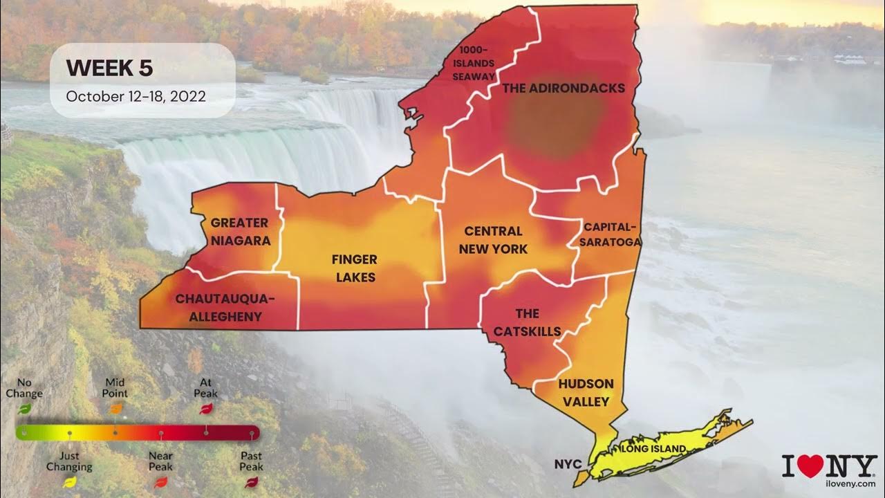 2022 New York State Fall Foliage Map Timelapse YouTube