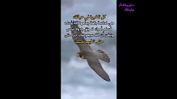 يا مجيب الدعاء يا متم الرجاء 