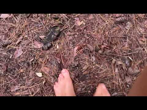 I am running barefoot through the autumn forest.