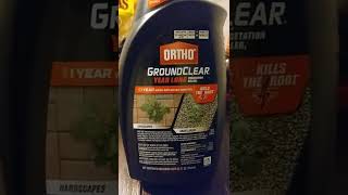 ortho ground clear kills weeds a full year do it really work right then