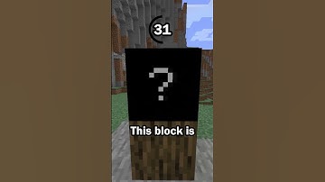 Guess the Minecraft block in 60 seconds 25