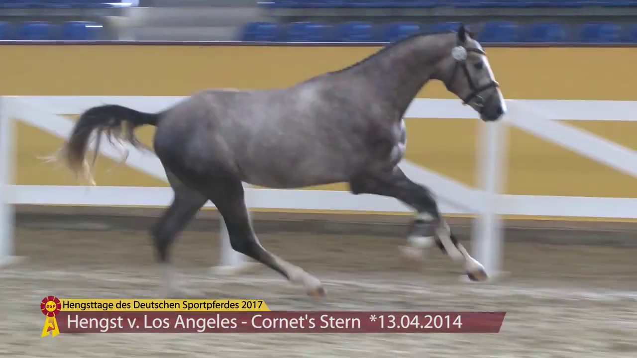 KN 72 v. Los Angeles Stern YouTube