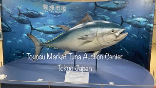 Toyosu Market Tuna Auction Center Tokyo Japan 2024 0215