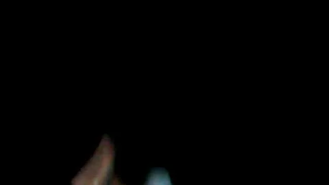 WAKA FLOCKA FLAME AT WINTERFEST 09