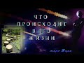 ЧТО ПРОИСХОДИТ В ЕГО ЖИЗНИ | Таро онлайн | Расклады Таро | Гадание Онлайн