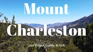 Mount Charleston - Escaping the Las Vegas Heat