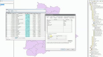ArcGIS 10.2 - Save Alias names for column names in Attribute table