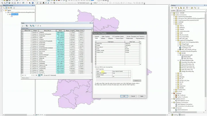 ArcGIS 10.2 - Save Alias names for column names in Attribute table