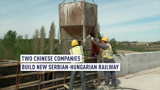 Two Chinese companies build new Serbian-Hungarian railway
