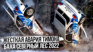 Дикая авария Тимона, Баха «Северный лес» 2022.