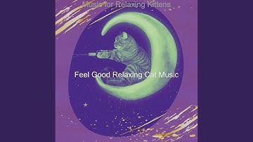 Pulsating Ambience for Relaxing Kittens