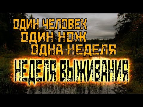 Неделя выживания. Без еды, воды и снаряжения.