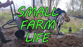 Day In the Life of a SMALL FARM  Behind the Scenes Chores
