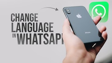 How to Change Language in WhatsApp in iPhone (tutorial)