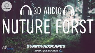 Surroundscapes X 8D Dream  Nature Forest Sound for Relaxation [3D AUDIO]