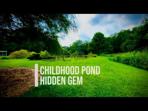 Bass Fishing | Hidden Pond