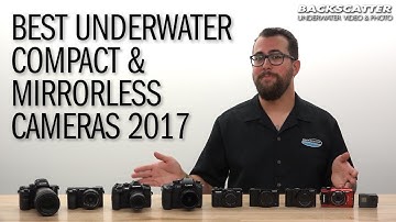The Best Underwater Compact and Mirrorless Cameras of 2017