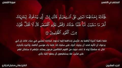 ماتيسر من سورة القصص للقارئ بعاجي سفيان الجزائري