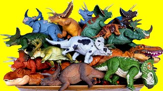 Lots of  Tirceratops Sinoceratops Pentaceratops T-rex , Jurassic world Dinosaurs, 본심남개 공룡 슐라이히 뿔공룡