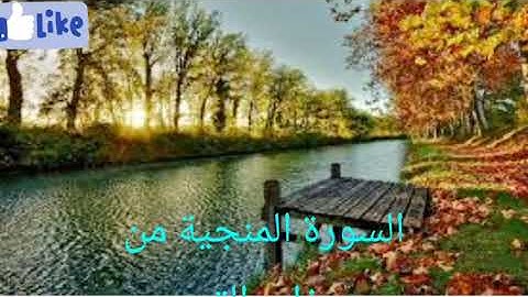 سورة الملك  المنجية من عذاب القبر بصوت الشيخ ماهر المعيقلي