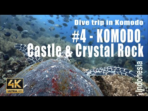 Komodo #4 : Dive on « Castle Rock & Crystal Rock » Komodo archipelago - 4k - Showreel