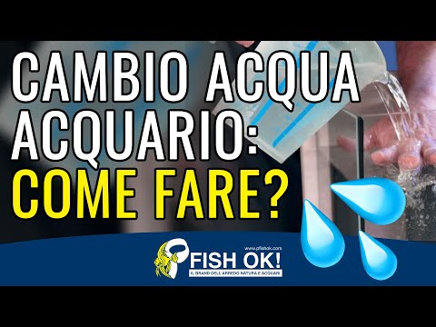 Video: Come cambiare l'acqua nel tuo acquario d'acqua dolce in modo facile