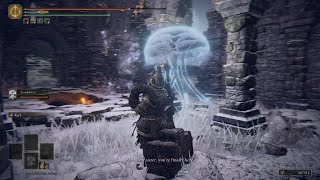 Elden Ring Reuniting The Jellyfish Sisters