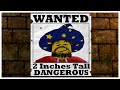 I Got Expelled from Wizard School