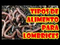 ALIMENTO PARA LOMBRICES (4 TIPOS) "TALLER BASICO"